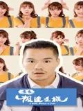 青春极速之旅
